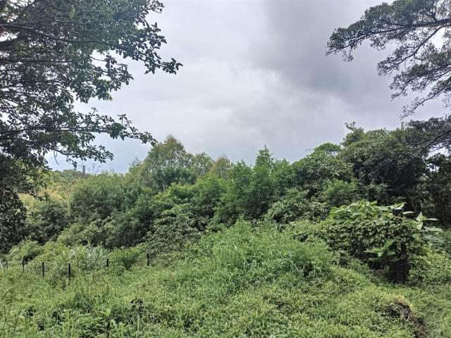 Land for sale in Seaview, Kwazulu-natal