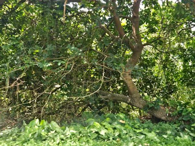 Land for sale in Seaview, Kwazulu-natal