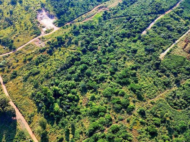 Land for sale in Vhembe, Limpopo
