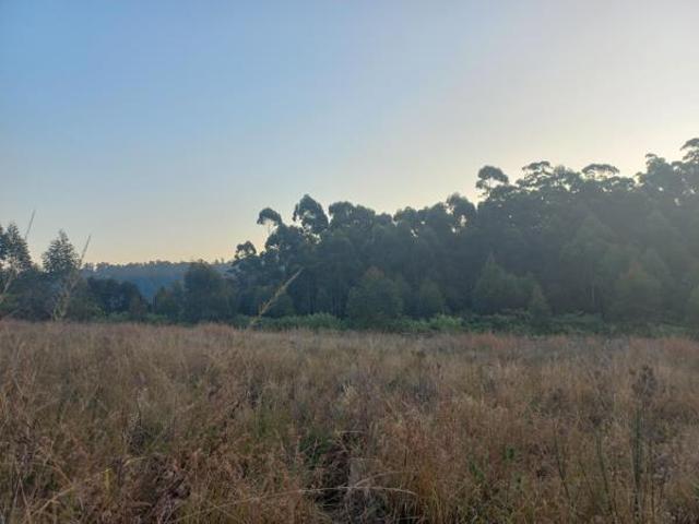 Land for sale in Kwazulu-natal