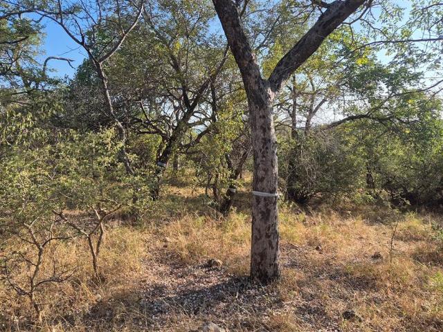 Property for sale in Mopani, Limpopo