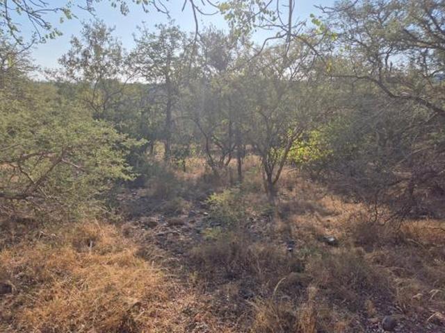 Property for sale in Mopani, Limpopo