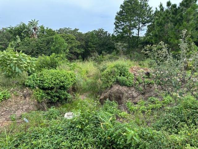Property for sale in Ugu District Municipality, Kwazulu-natal