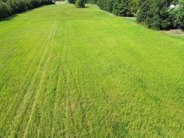 Land for sale in Cartwright, Elkmont