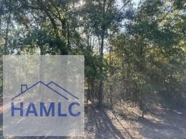 Land for sale in Glennville, Tattnall County