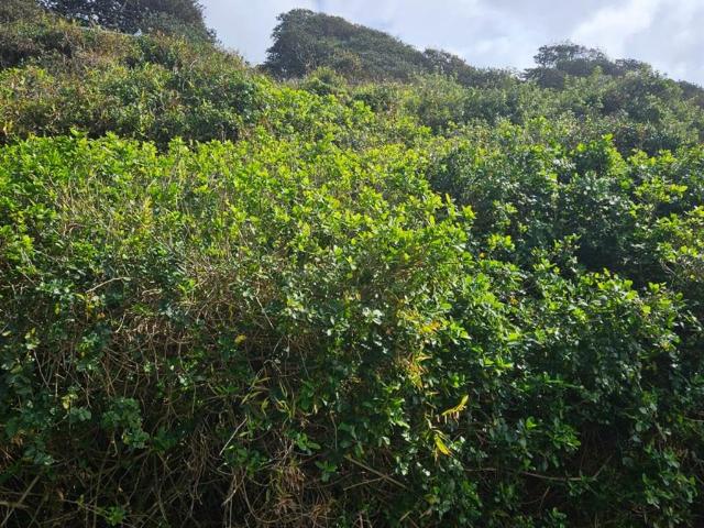 Property for sale in Umdloti, Kwazulu-natal