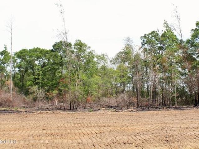 Land for sale in Lucedale, Mississippi