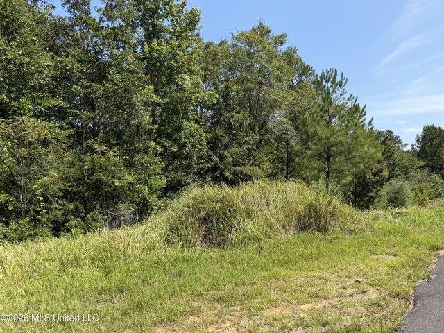 Land for sale in Lucedale, Mississippi
