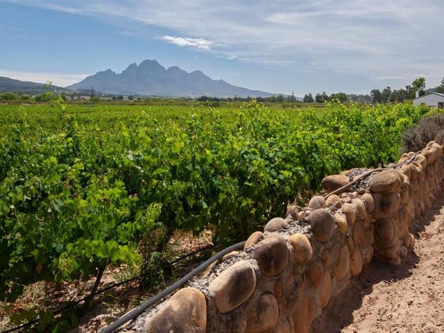 Farm for sale in Durbanville, Western Cape
