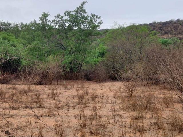Property for sale in Mopani, Limpopo