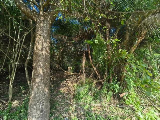 Property for sale in Ugu District Municipality, Kwazulu-natal
