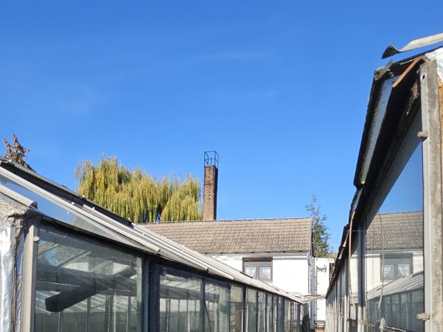 Haus kaufen in Aken, Sachsen-Anhalt