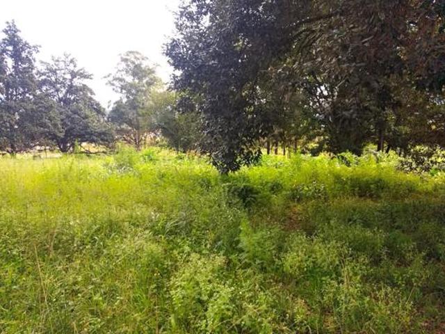 Land for sale in Ehlanzeni, Mpumalanga