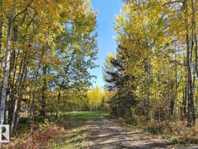Land for sale in Alberta