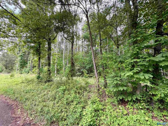 Land for sale in Leesburg, Alabama