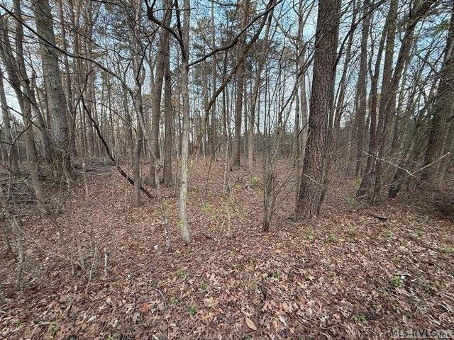 Land for sale in Virginia