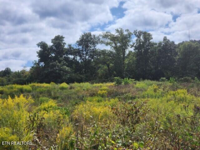 Land for sale in Tennessee