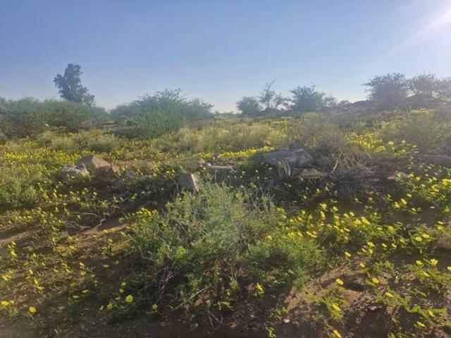 Property for sale in Upington, Northern Cape