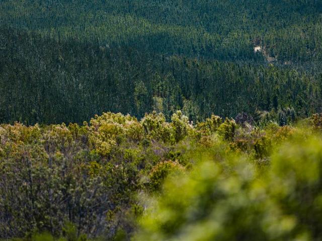 Property for sale in Groot Brak Rivier, Western Cape