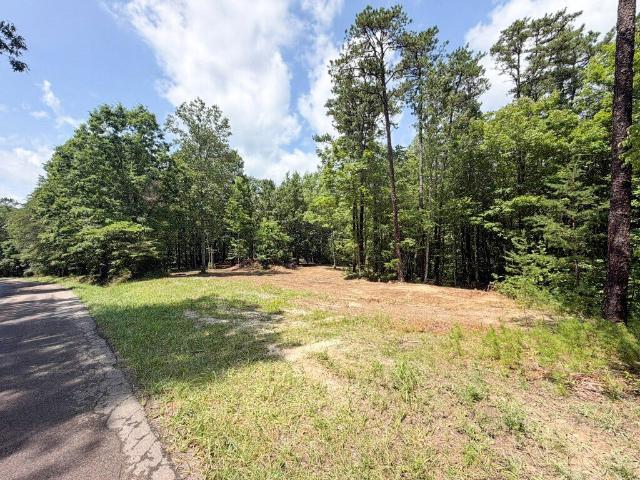 Land for sale in Virginia