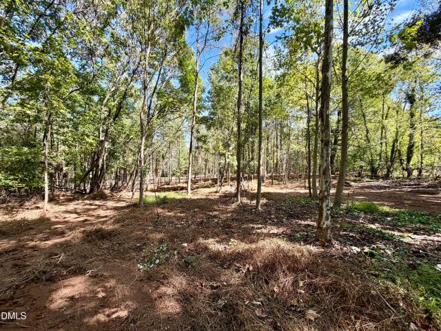 Land for sale in Woodsdale, Roxboro