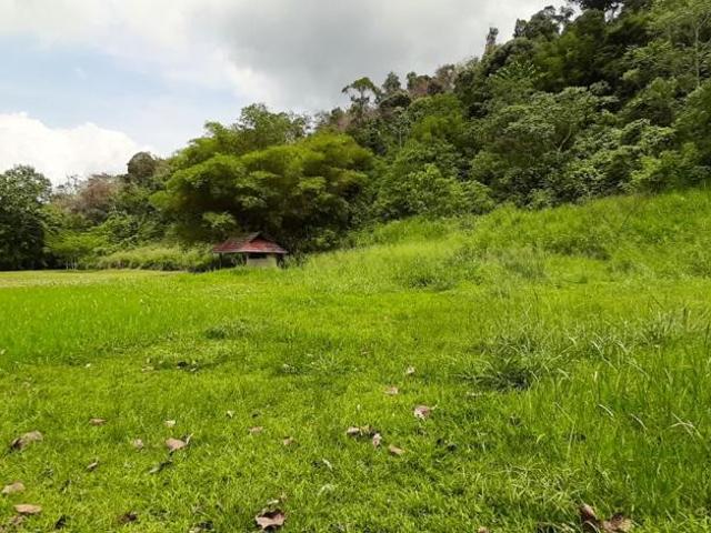 Property for sale in Pahang