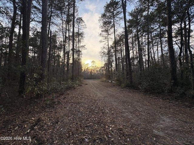Land for sale in Watha, North Carolina