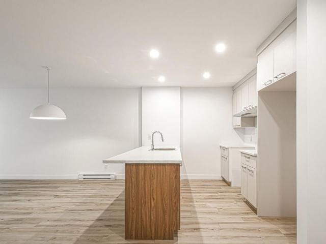 Apartment for rent in Saint-ambroise-de-kildare, Quebec