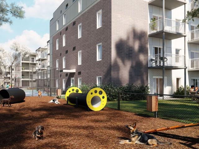 Apartment for rent in Les Maskoutains, Quebec