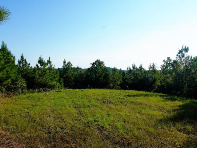 Land for sale in Cherokee, Colbert County