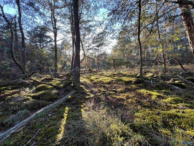 Land for sale in Cedar Bluff, Alabama