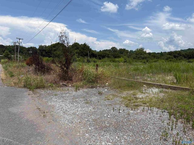 Land for sale in Stevenson, Alabama