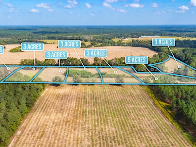 Land for sale in Florala, Alabama