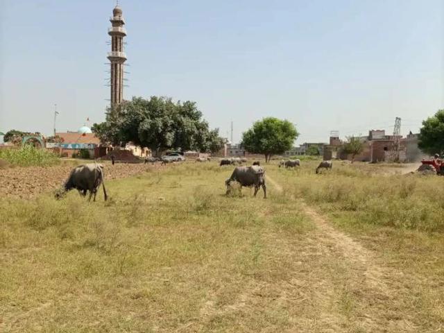 Land for sale in Sialkot, Islamabad Capital Territory