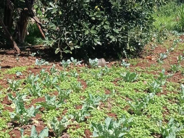 Land for sale in Kiambu