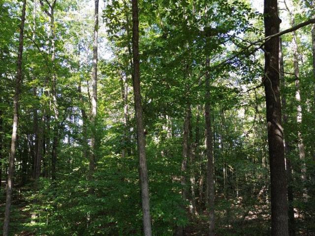 Land for sale in Bumpass, Louisa County