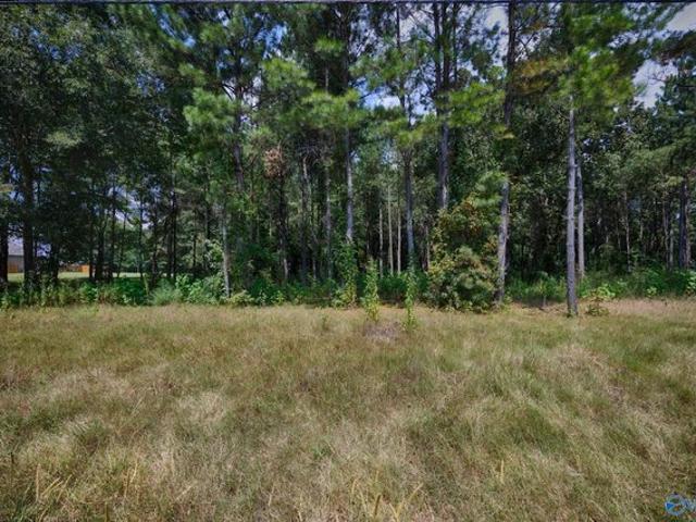 Land for sale in Elkmont, Limestone County