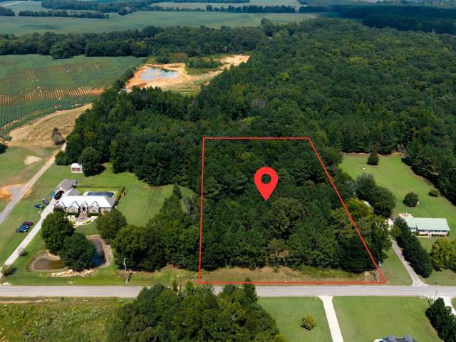 Land for sale in Elkmont, Limestone County