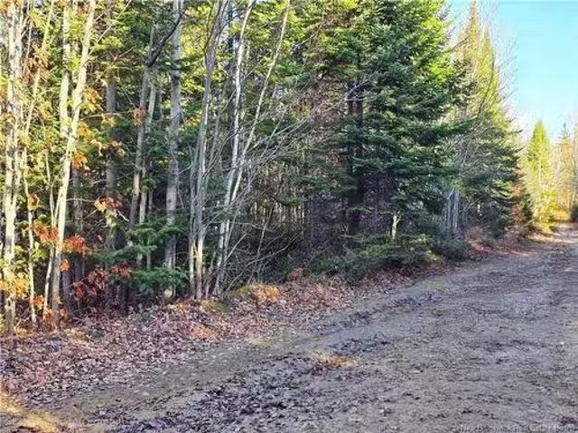 House for sale in Burnsville, New Brunswick