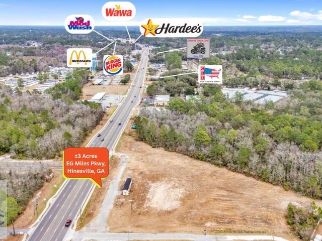 Land for sale in Allenhurst, Georgia
