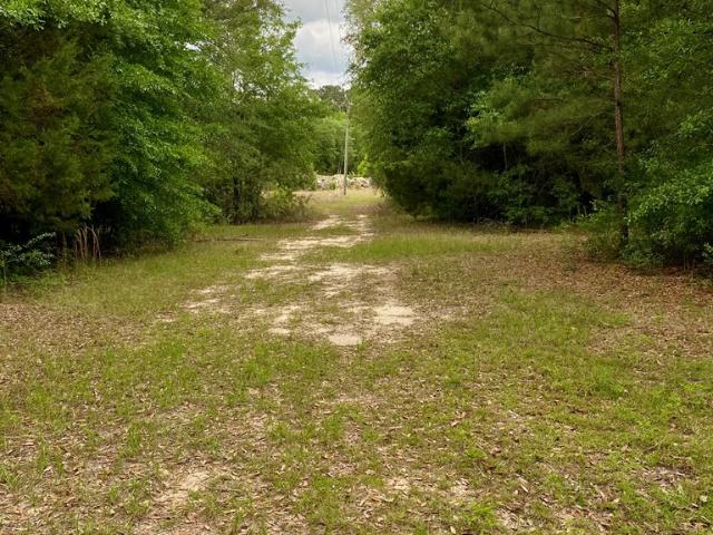 Land for sale in Geneva, Alabama
