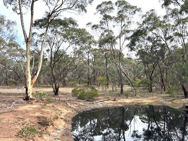 Cottage for sale in St Arnaud, Victoria