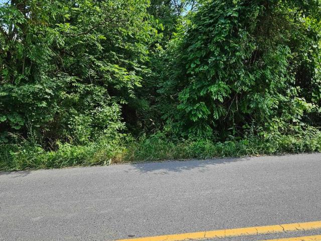 Land for sale in Virginia