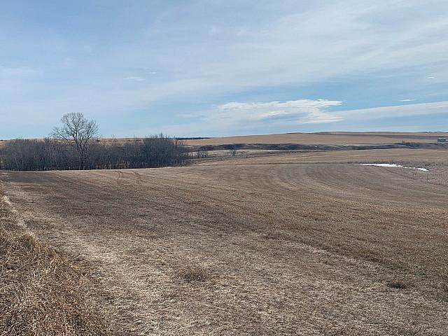 Land for sale in Blackfalds, Alberta