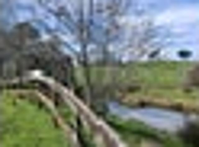 House for sale in Ferndale, New Plymouth