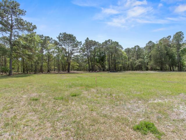 Land for sale in North Carolina