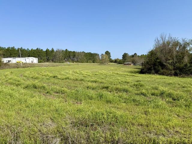 Land for sale in Red Oak, Florala