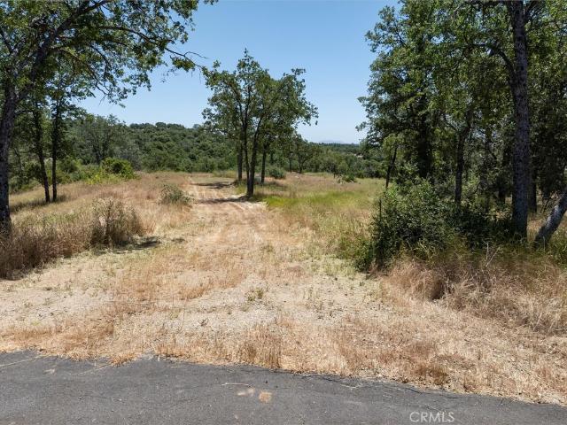 Land for sale in Coarsegold