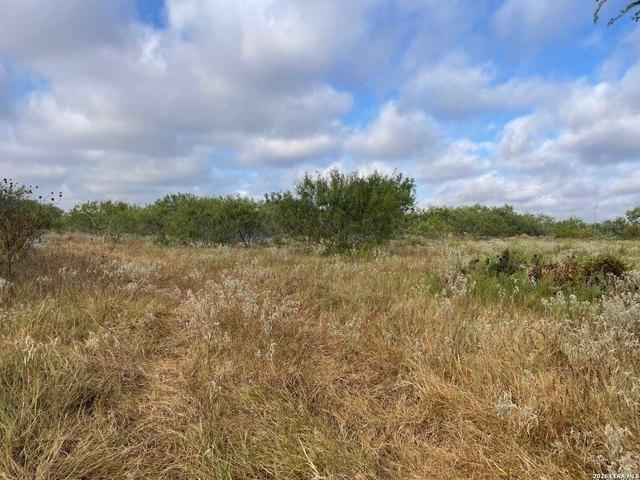 Land for sale in Floresville, Wilson County
