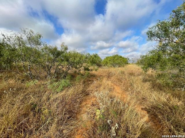 Land for sale in Floresville, Wilson County
